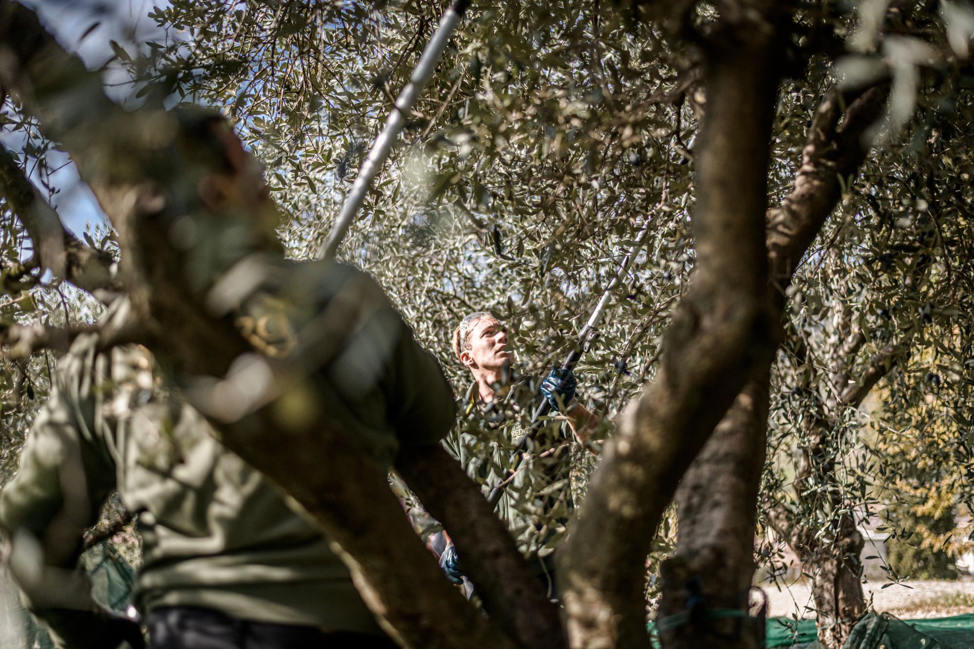Reportage Olio 2