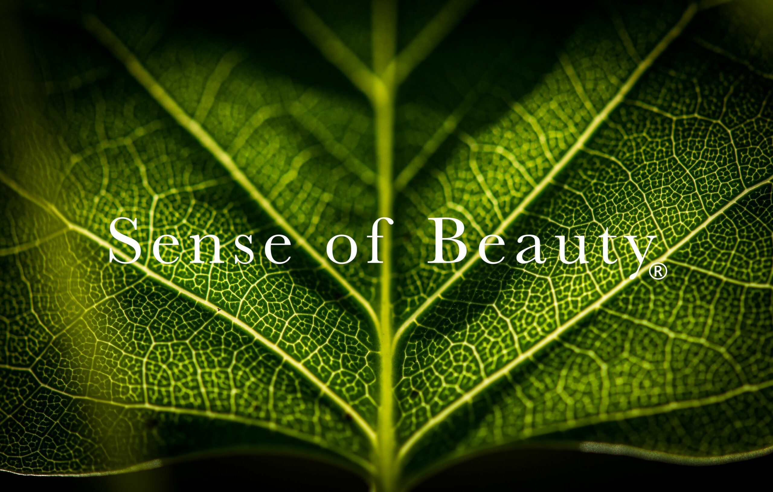 Reportage Sense Of Beauty 1